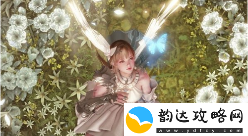 命运方舟私语小岛妮娜芙在哪