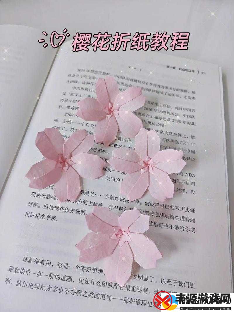 如何进入樱花官方站:详细步骤分享