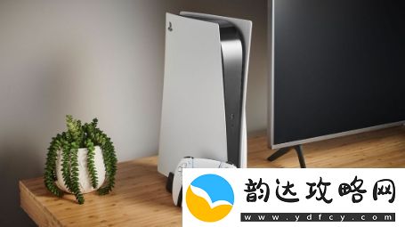 国外玩家投票