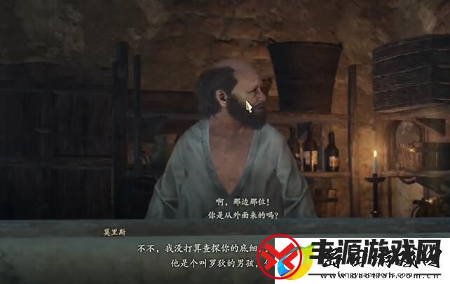 龙之信条2被掳走的少年任务怎么做