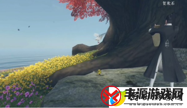 逆水寒手游风物有灵红尘任务怎么过