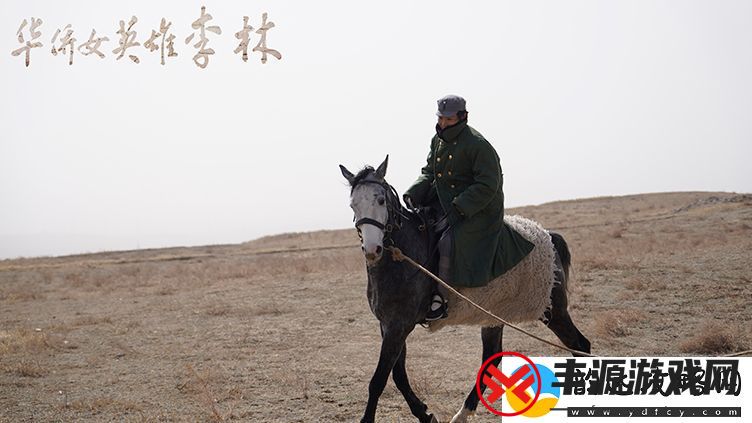 华侨女英雄李林今日上映-发布五大看点