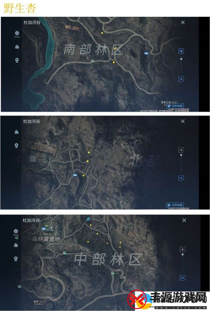 代号降临野生杏在哪里采集野生杏位置一览