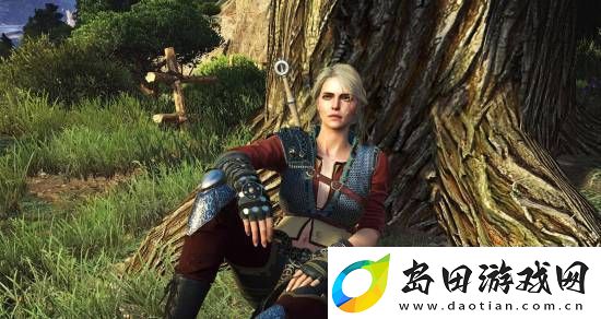 巫师4希里当主角！粉丝争议是否存在女猎魔人