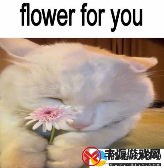 男女关系已经发展成这样了