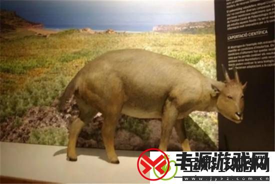 独特的“冷血山羊”长着一张人脸