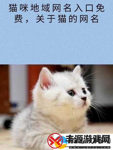 猫咪最新地域名怎么取:地域特色与猫咪的奇妙组合