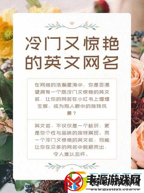 17c-最新名:探索未知世界的独特标识与魅力所在