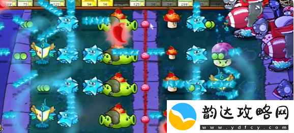 植物大战僵尸杂交版益智模式与时间赛跑通关攻略