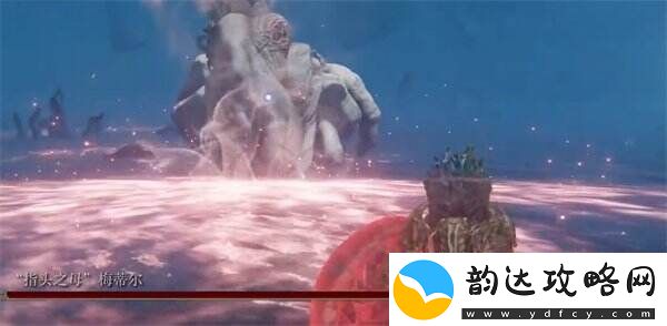 艾尔登法环DLC指头之母怎么打