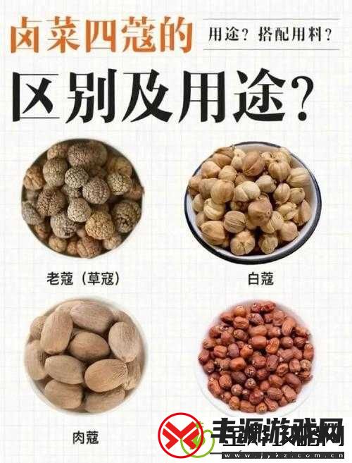 BBBBB-和-BBBBBB-的用法和作用