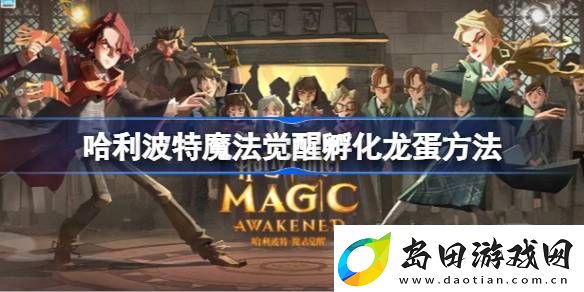 哈利波特魔法觉醒孵化龙蛋方法-哈利波特魔法觉醒怎么才能孵化龙蛋
