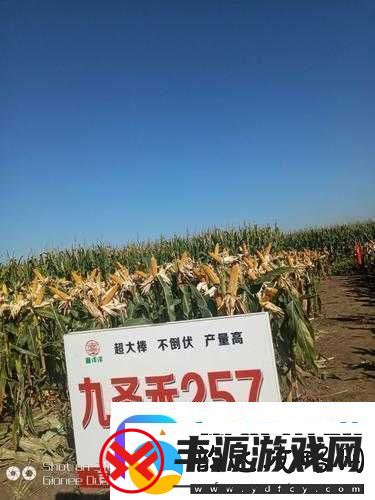 991-精产三产区区别首次亮相震撼登场