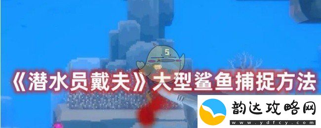 潜水员戴夫怎么捕捉大型鲨鱼-大型鲨鱼捕捉方法