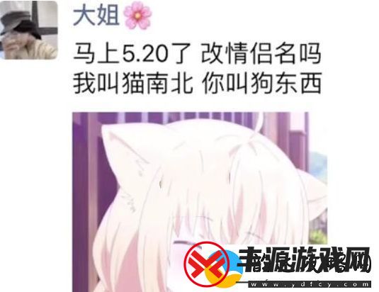 猫南北狗东西是什么梗络用语-猫南北狗东西梗意思及出处分享