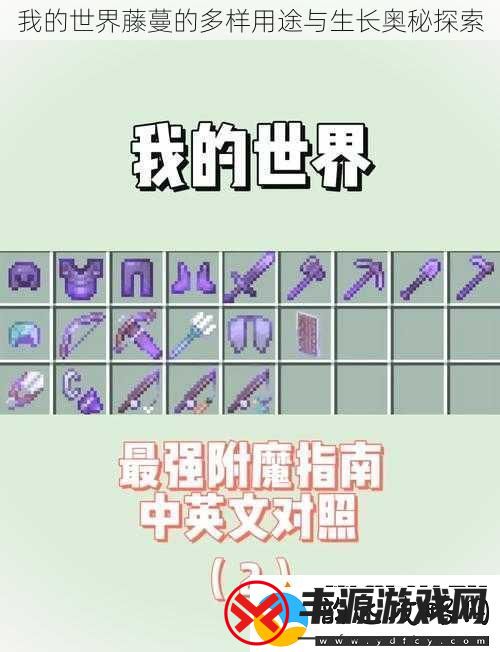 我的世界藤蔓的多样用途与生长奥秘探索