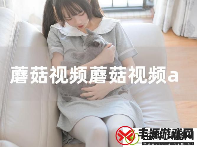 交资源www站蘑菇视频-网友:
