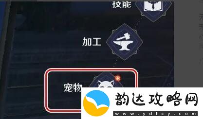 无神之界怎么放生宠物