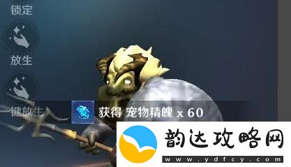 无神之界怎么放生宠物