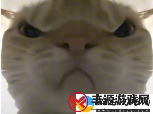 鼠鼠猛攻是什么梗络用语-鼠鼠猛攻梗意思及出处分享
