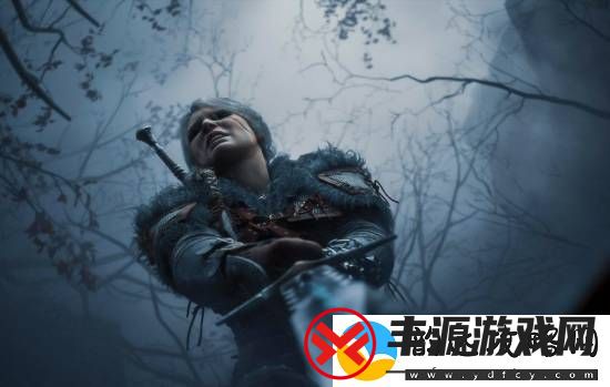 CDPR-2024年股价暴涨!狂飙71%吊打一众大厂