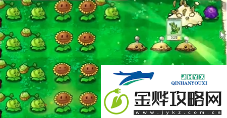 植物大战僵尸抽卡版1