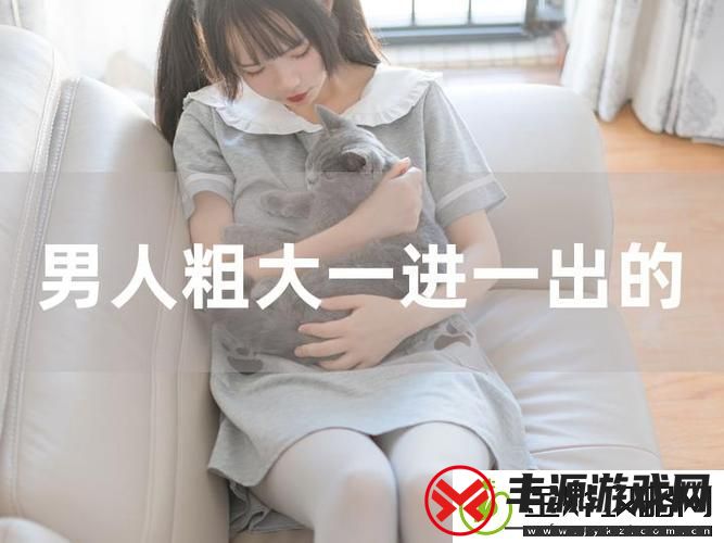 探秘“大肉大捧一进一出视频”的奇妙之旅