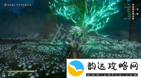 狂野之心帐篷的多种功能与实用价值分析