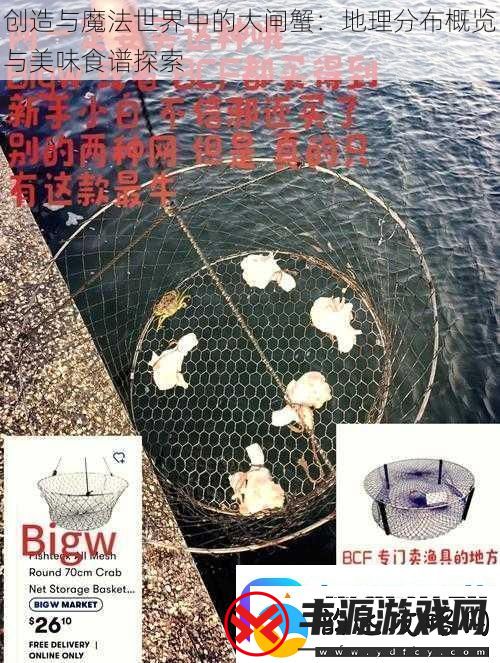 创造与魔法世界中的大闸蟹:地理分布概览与美味食谱探索