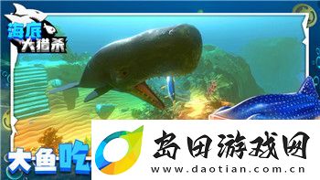龙之信条男女区别及角色设定的不同体验与玩法探索