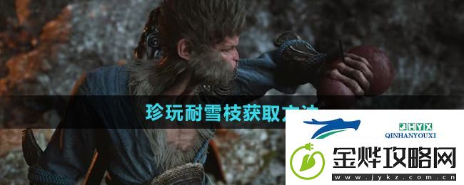 黑神话悟空耐雪枝怎么获得-珍玩耐雪枝获取方法
