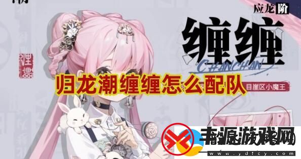归龙潮缠缠怎么配队-归龙潮缠缠阵容推荐
