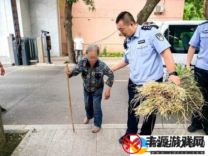 小草回家永不迷路-2024:踏上归家之旅-告别迷路困扰