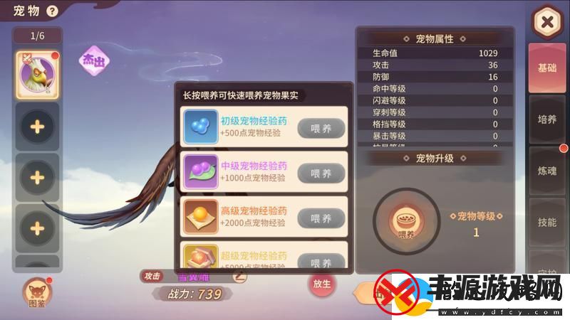 原创再见江湖宠物养成攻略