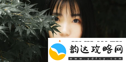 待会见安卓版下载
