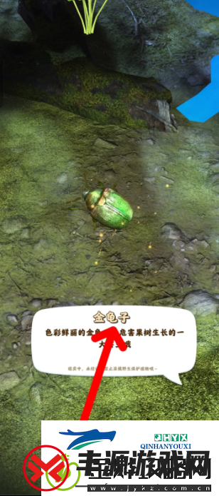 道具合成夺笋高手怎么抓虫夺笋高手如何抓捕昆虫金龟子