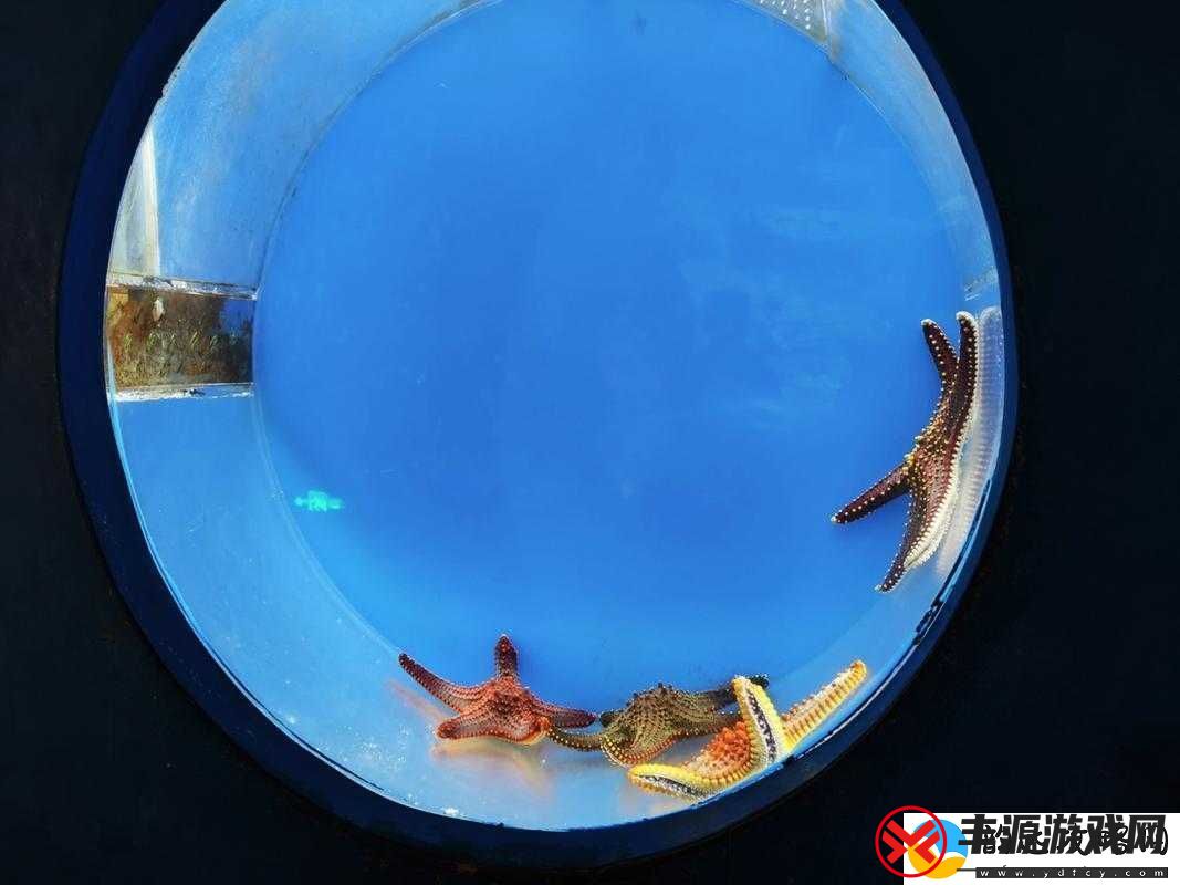 爆乳海角:探寻那片神秘而迷人的海洋奇景之旅