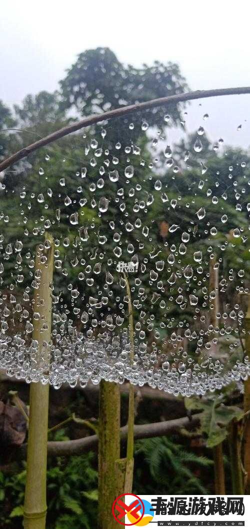 ツユ-やっぱり雨は降るんだね——雨终究会落下呀