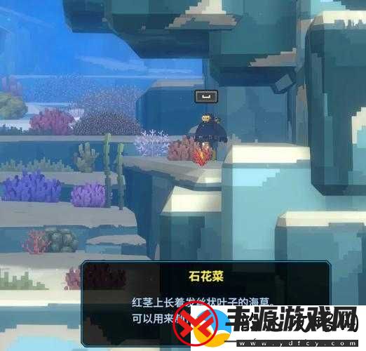 潜水员戴夫游戏中芝麻获取途径及详细方法全面解析
