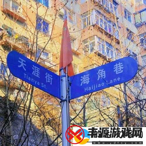 hjb5168-海角的独特魅力与精彩故事