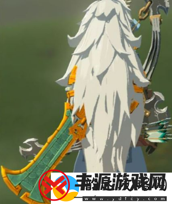塞尔达传说王国之泪套装怎么获得-王国之泪套装获取攻略大全