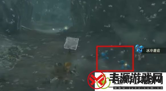 王国之泪跨越冰冷的水玩法攻略