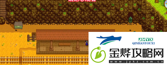 星露谷物语桑迪二楼解锁方法