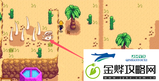 星露谷物语桑迪二楼解锁方法