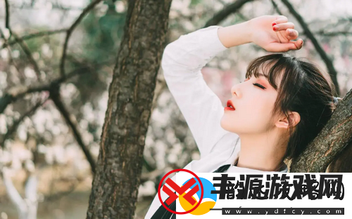 如何用成品crm999提升制作效率-打破传统创作流程的瓶颈