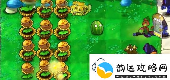 植物大战僵尸杂交版迷你游戏植物僵尸通关攻略