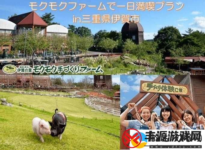 日本母亲农场特色农牧产品:自然与爱的结晶