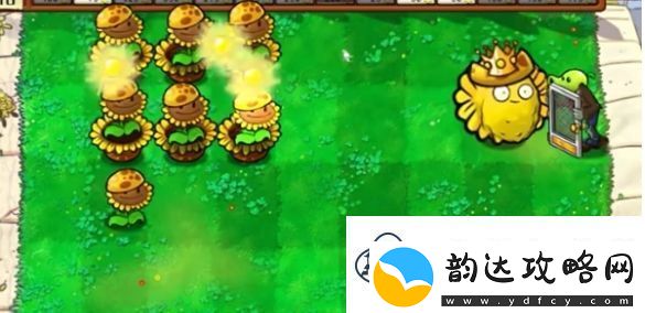 植物大战僵尸杂交版迷你游戏植物僵尸通关攻略