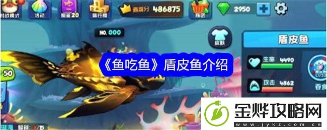 鱼吃鱼盾皮鱼介绍-鱼吃鱼盾皮鱼怎么样