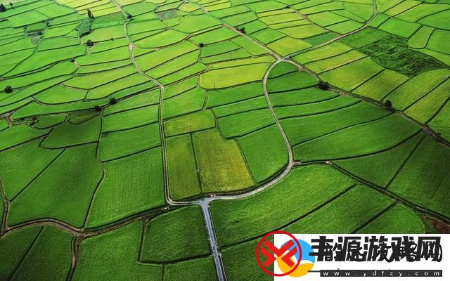 嫩草国产从青年农民的角度审视农业现状及未来走向
